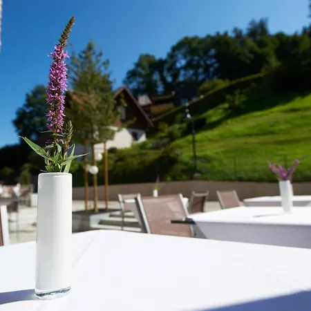 Sternen Hotel 4*